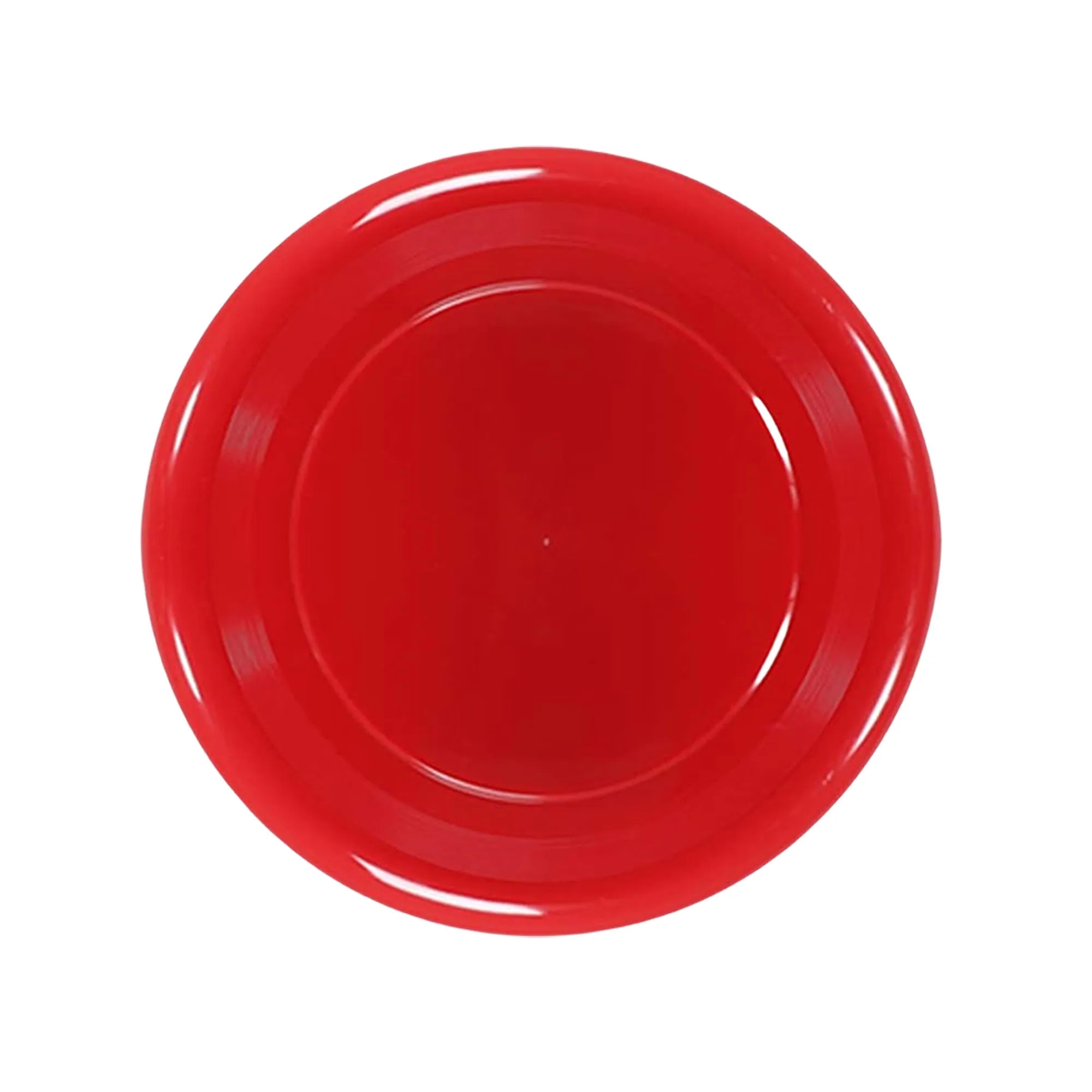 9 Inch Plastic Flying Disc 14