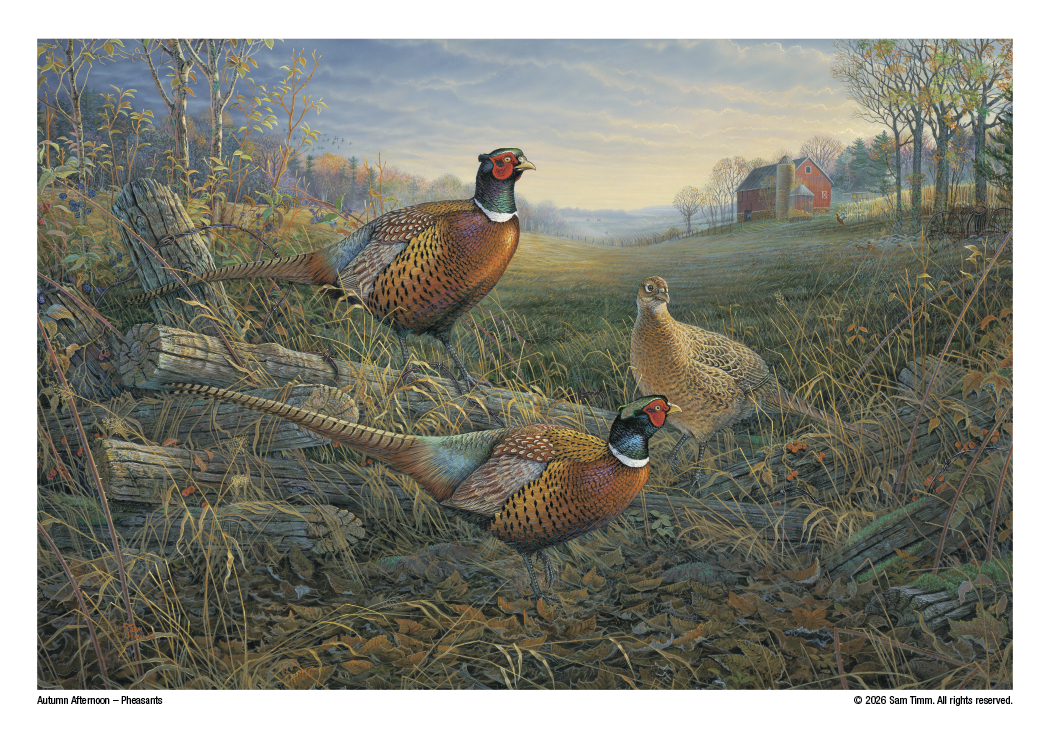 Triumph® Calendars Wildlife Art Calendar 41