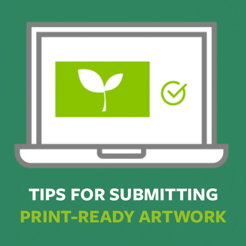 Single-Sided Plantable Business Cards 6