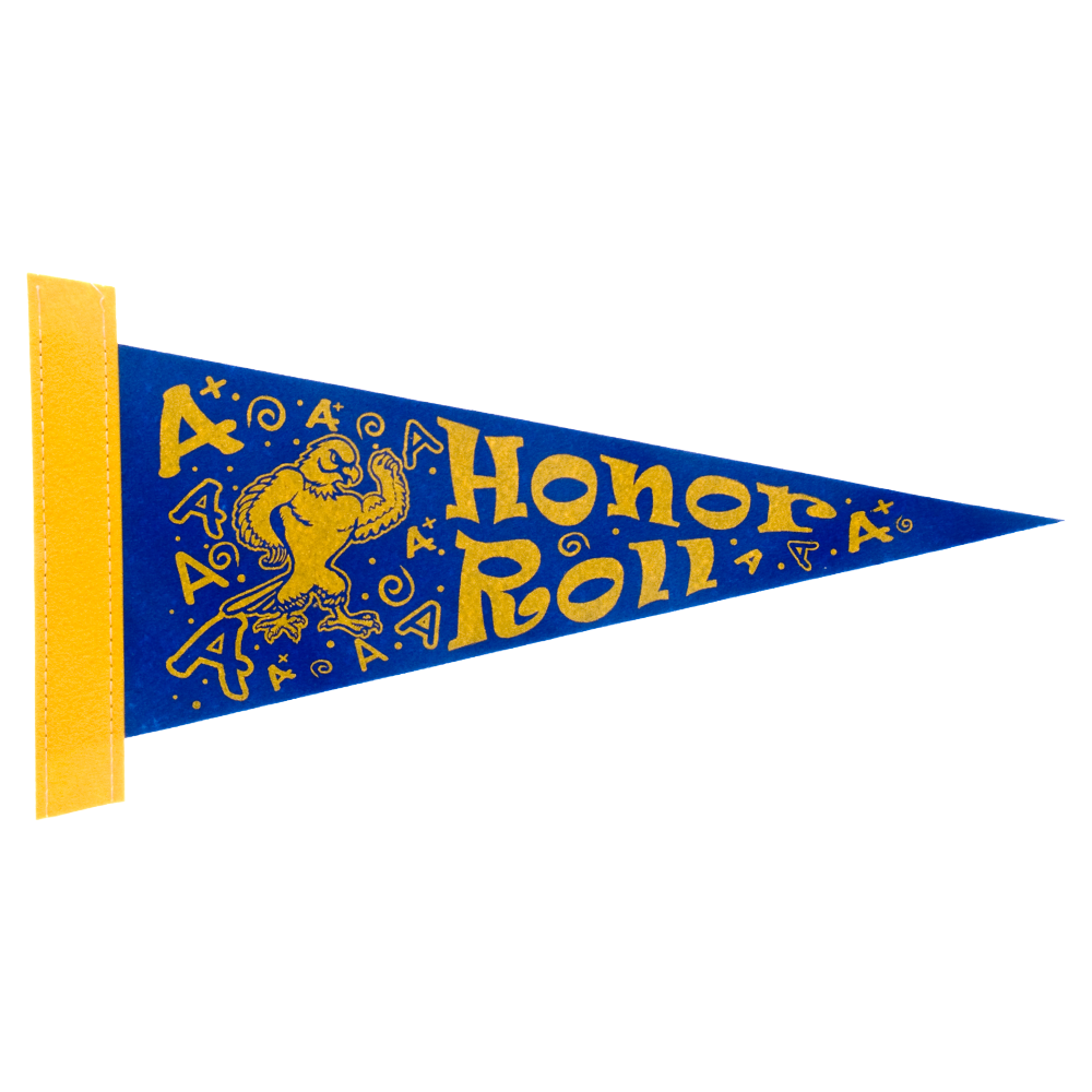 5" x 12" Colored Felt Pennant 16