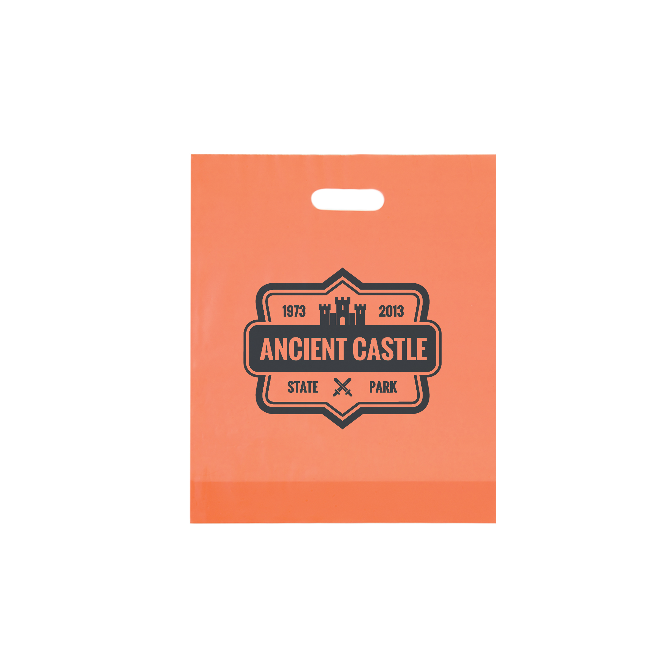 Non Reinforced HDPE Frosted Die Cut Bag 3