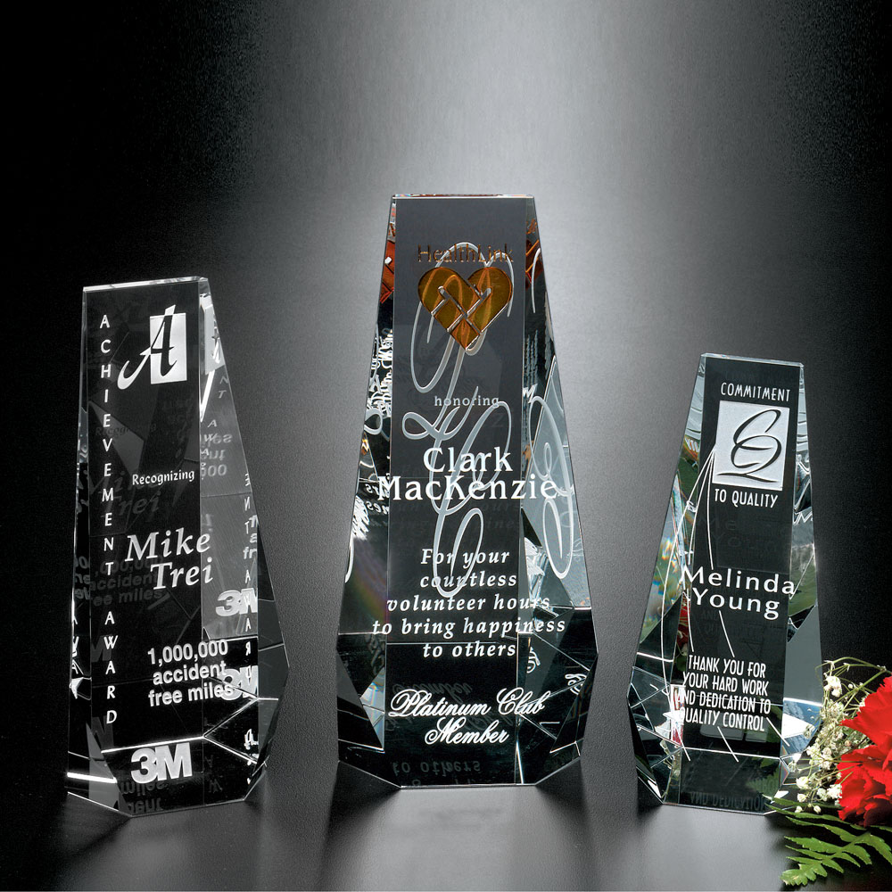Wedgewood Award 7