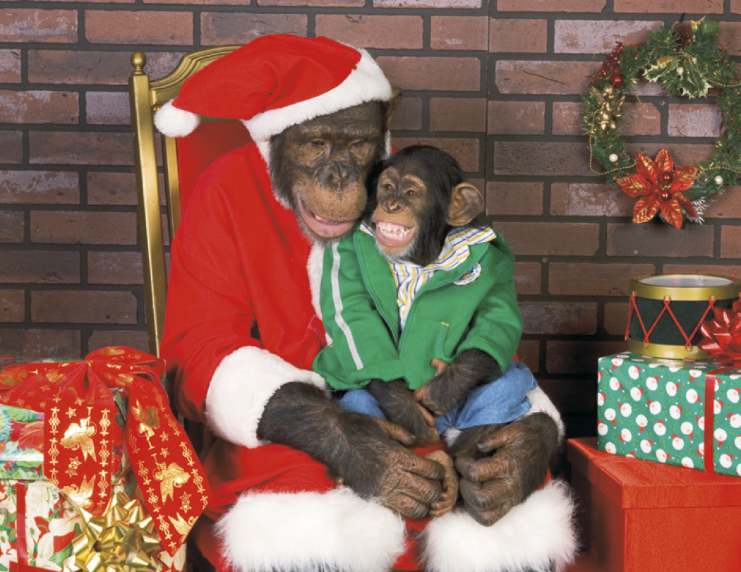 Good Value™ Monkey Mischief - Stapled Calendar 20