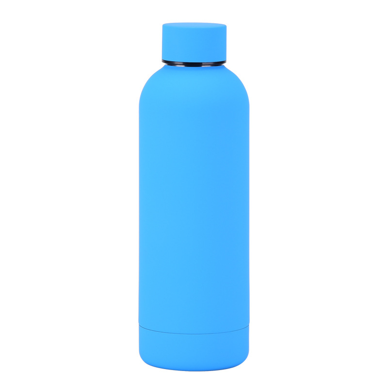 Stainless Steel Water Bottle 25