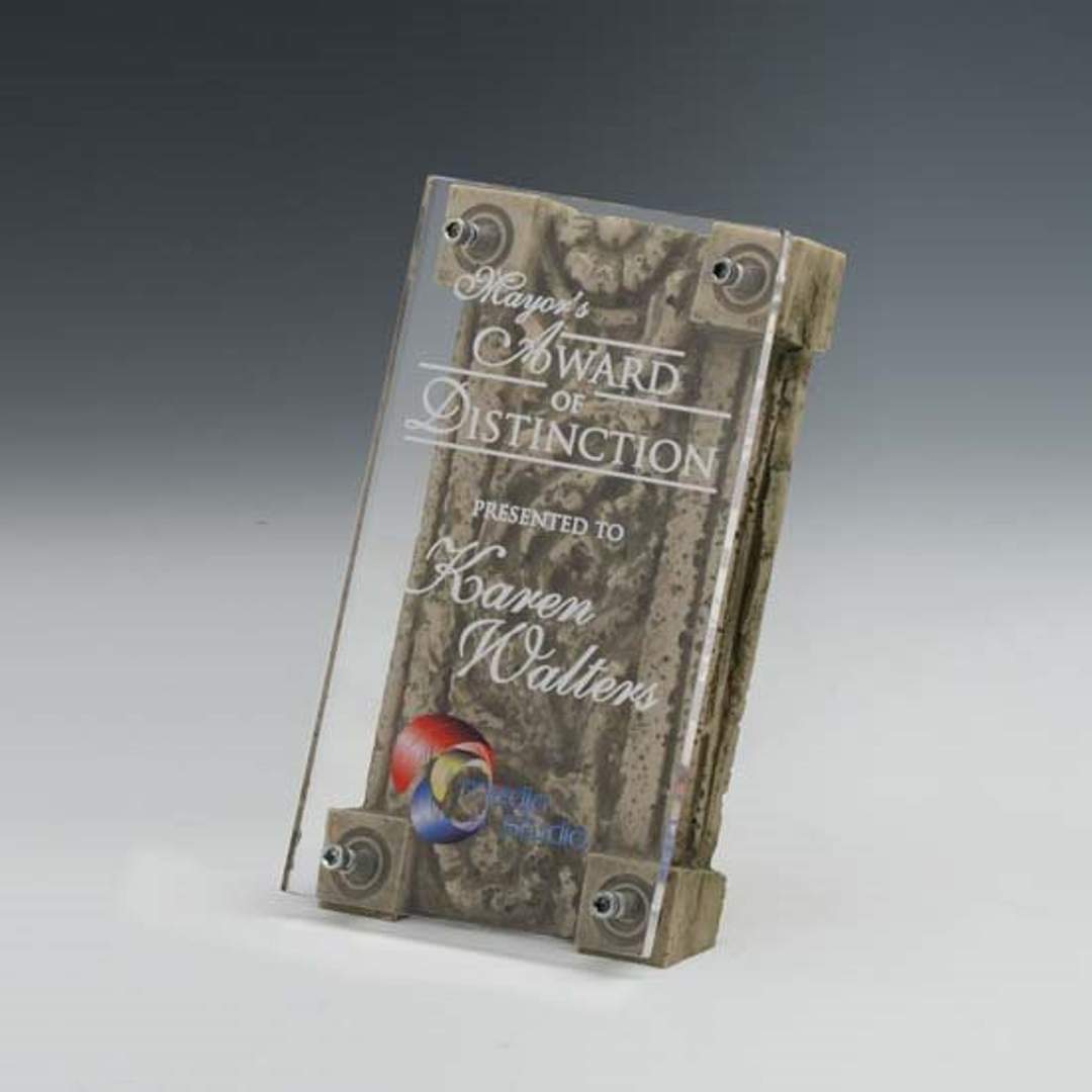 Frieze Award 3