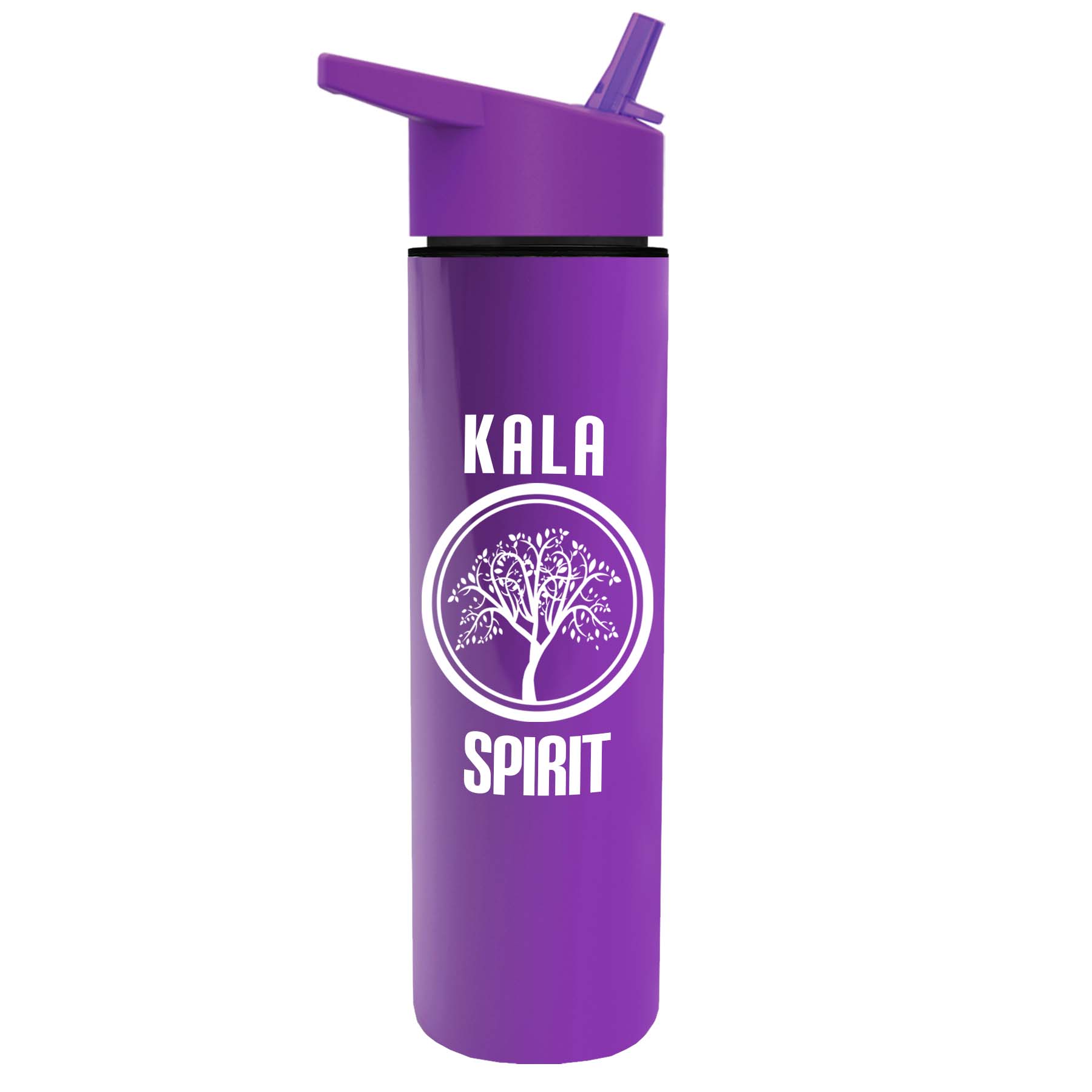 The Chiller - 16 oz. Double Wall Insulated Bottle with Flip Straw 2