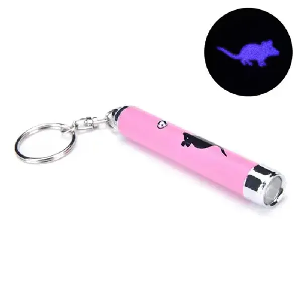 Led Projector Keychain 3