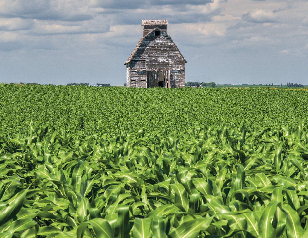 Good Value™ Agriculture - Stapled Calendar 62