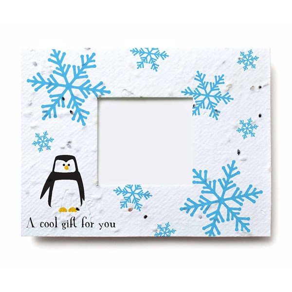 Window Gift Card Holder