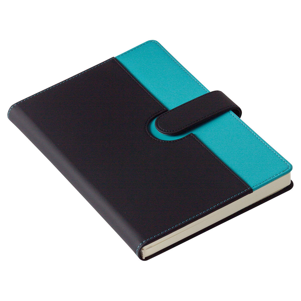 Chic Journal with Magnetic Closure 2