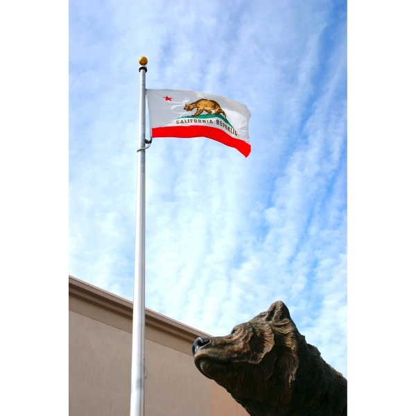 California Official Flag 2
