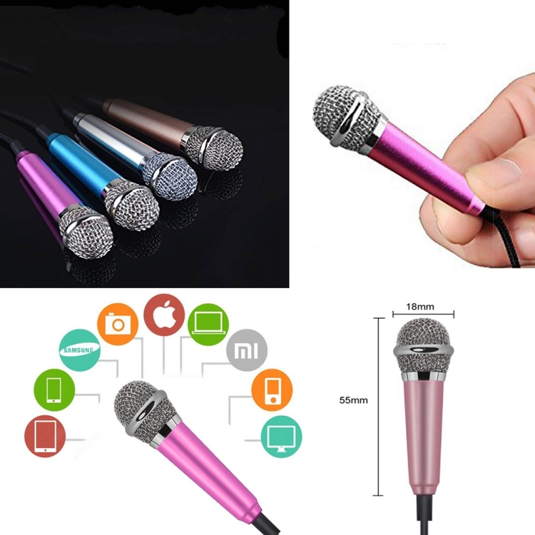 iBank ® Mini Condenser Microphone 2