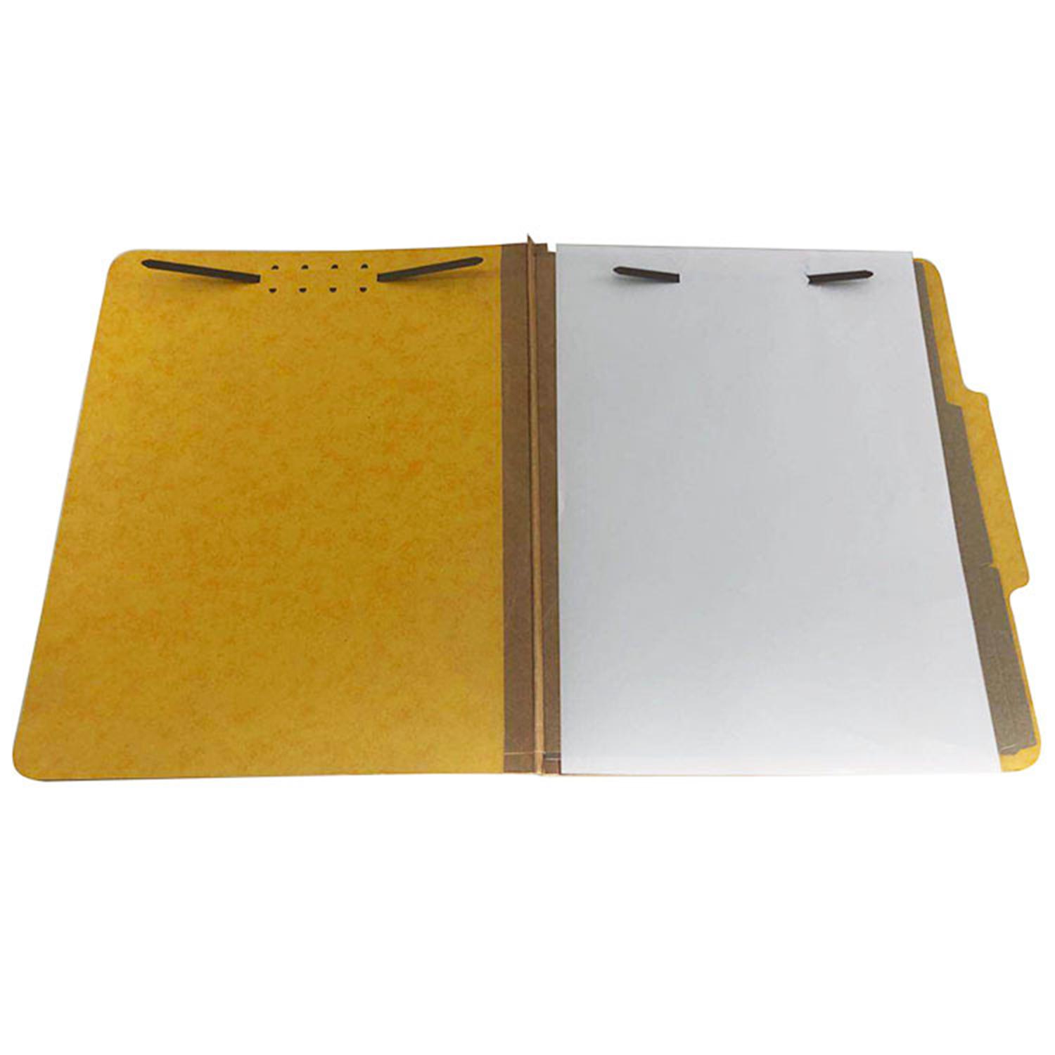 Two Divider Pressboard Classification File Folder 3