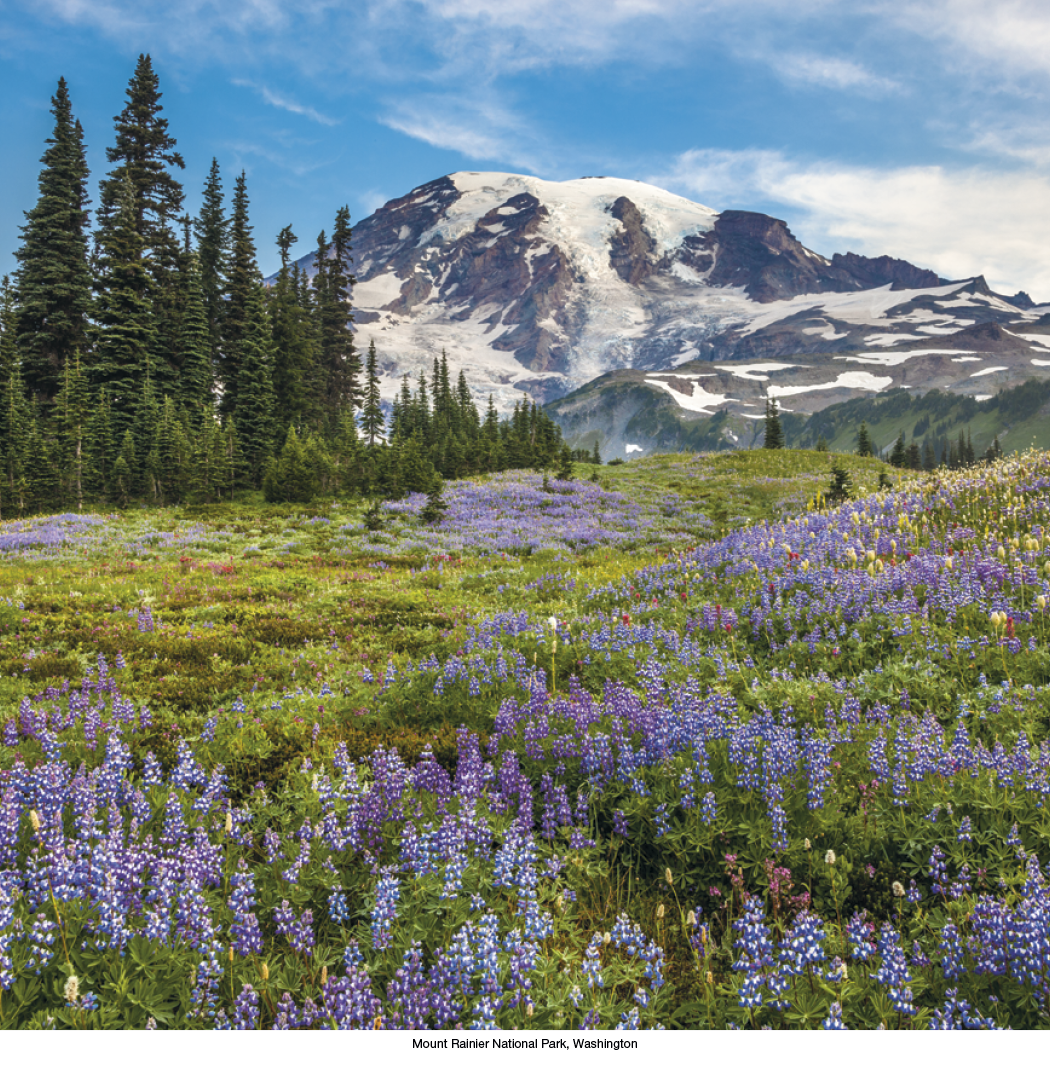 HotLine® Products Scenic America® Executive 13