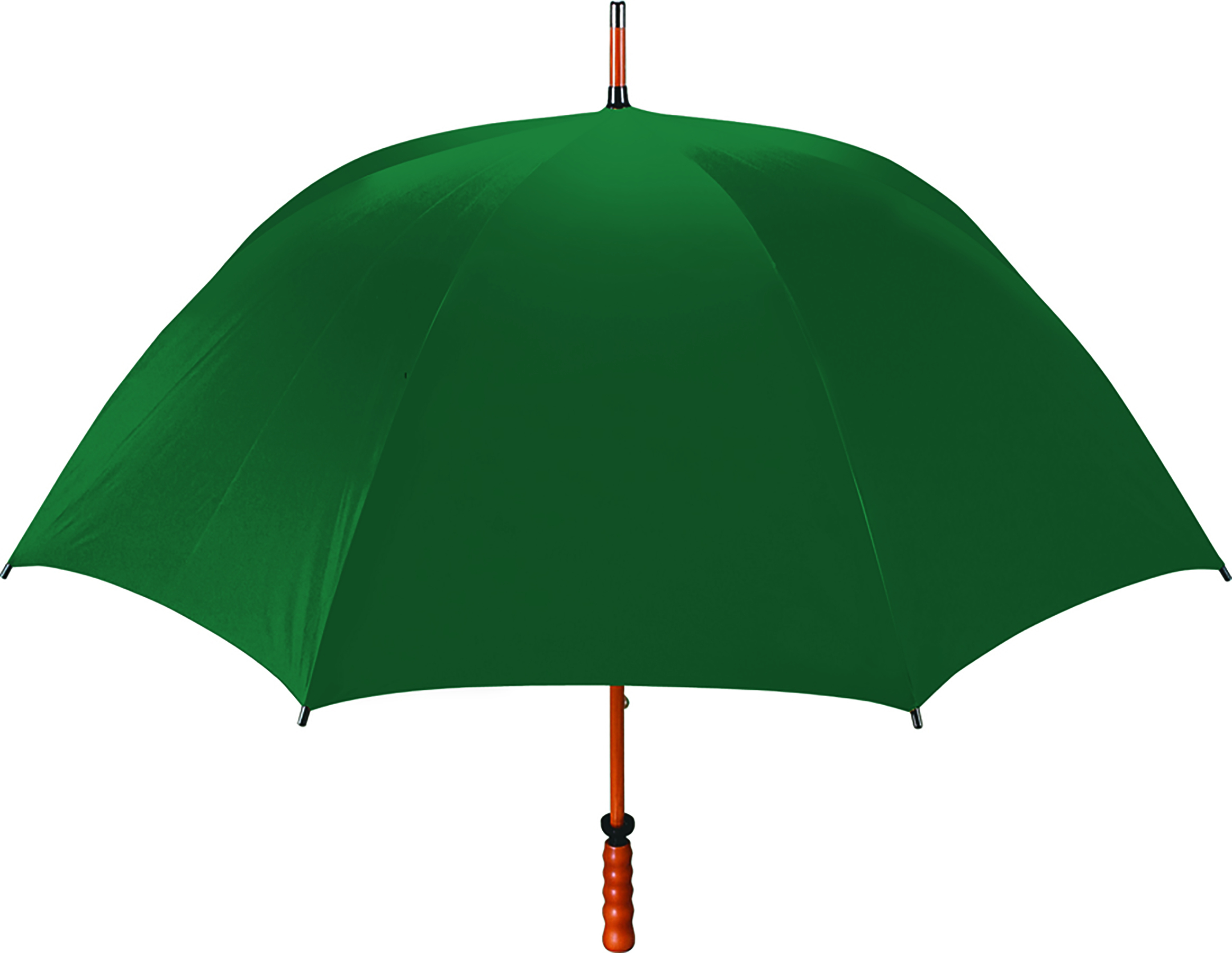 The Eagle Umbrella 53
