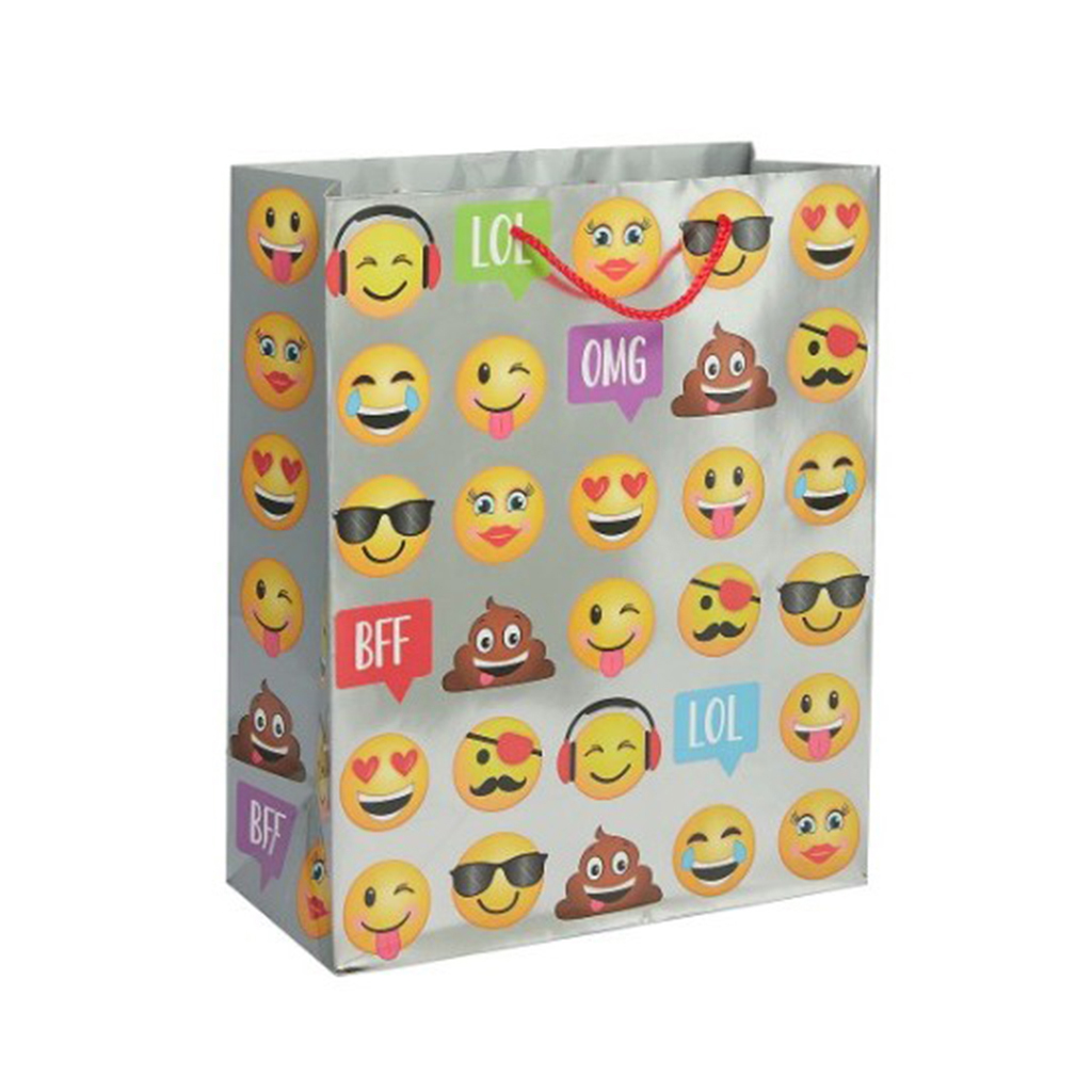 250g C1S paper bag with full color imprint on all sides (10*13*5") 2