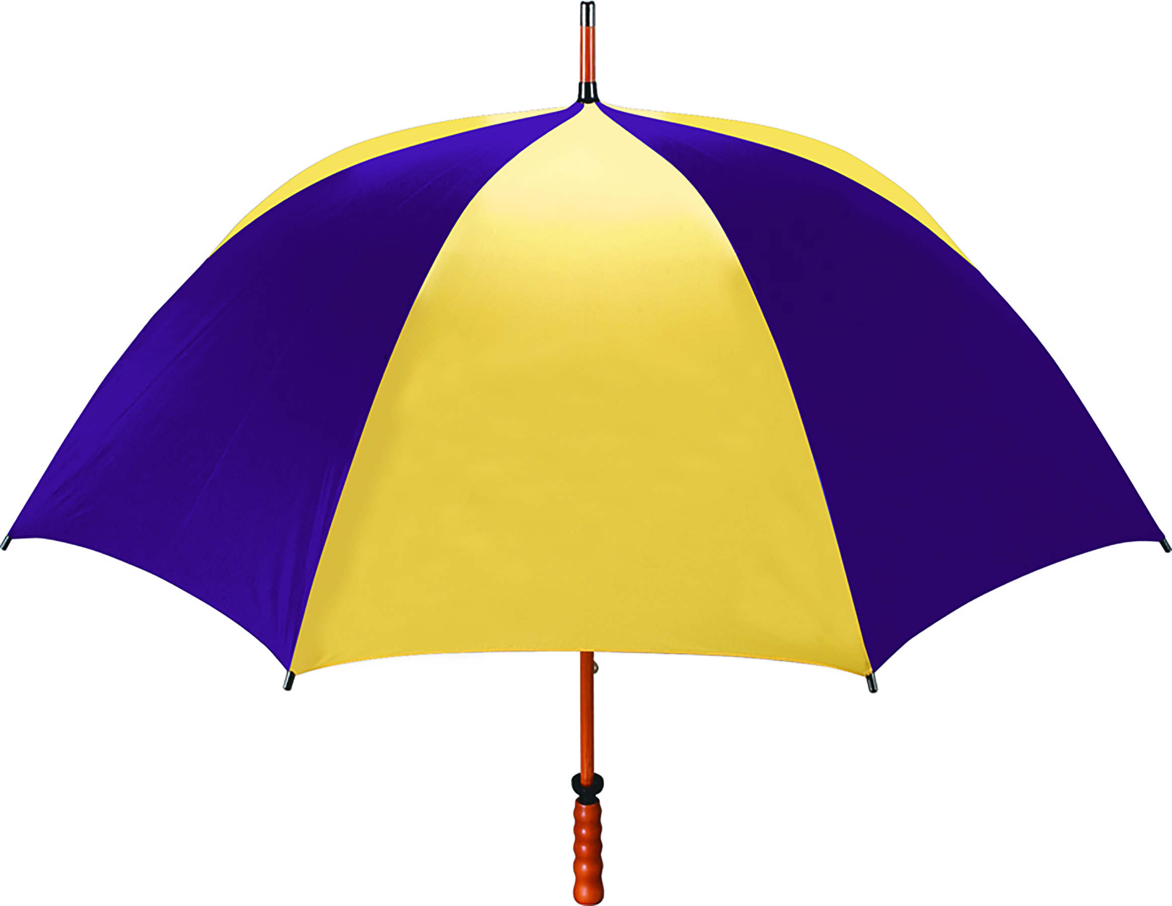 The Eagle Umbrella 1