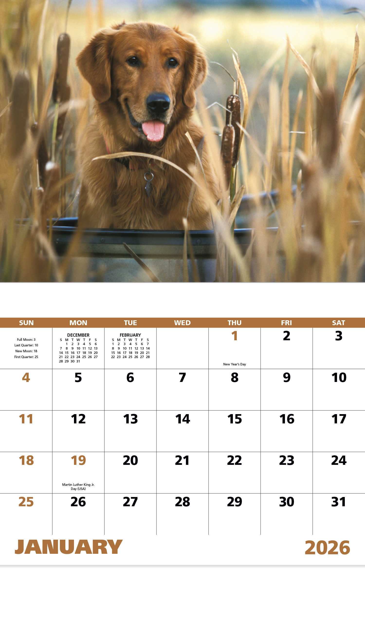Good Value™ Sporting Dogs - Stapled Calendar 35