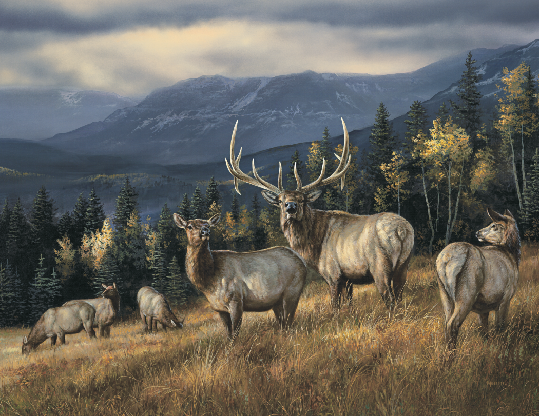 Triumph® Calendars Wildlife Art Calendar 14