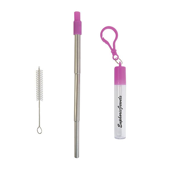 Thermosphere Telescopic Stainless Straw In Case 1