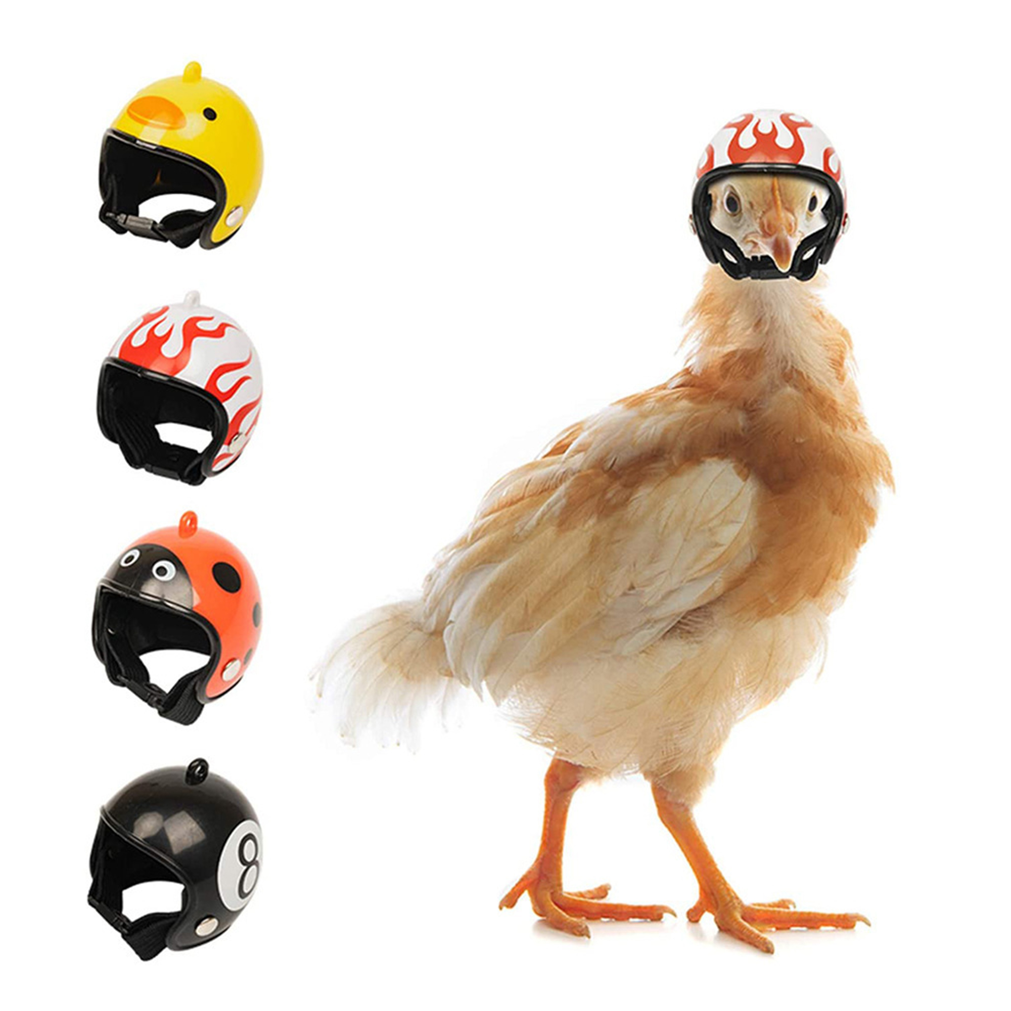 Personalized Poultry Mini Helmet 2