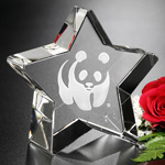 Superstar Award 3