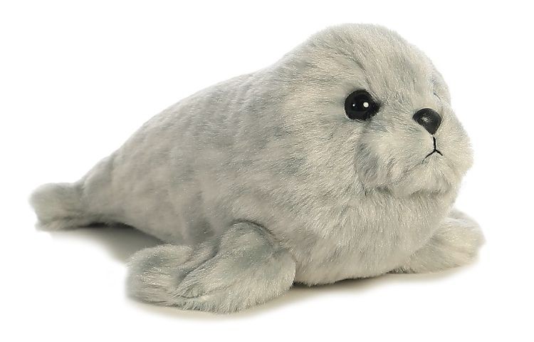 Harbor Seal, 8". 4