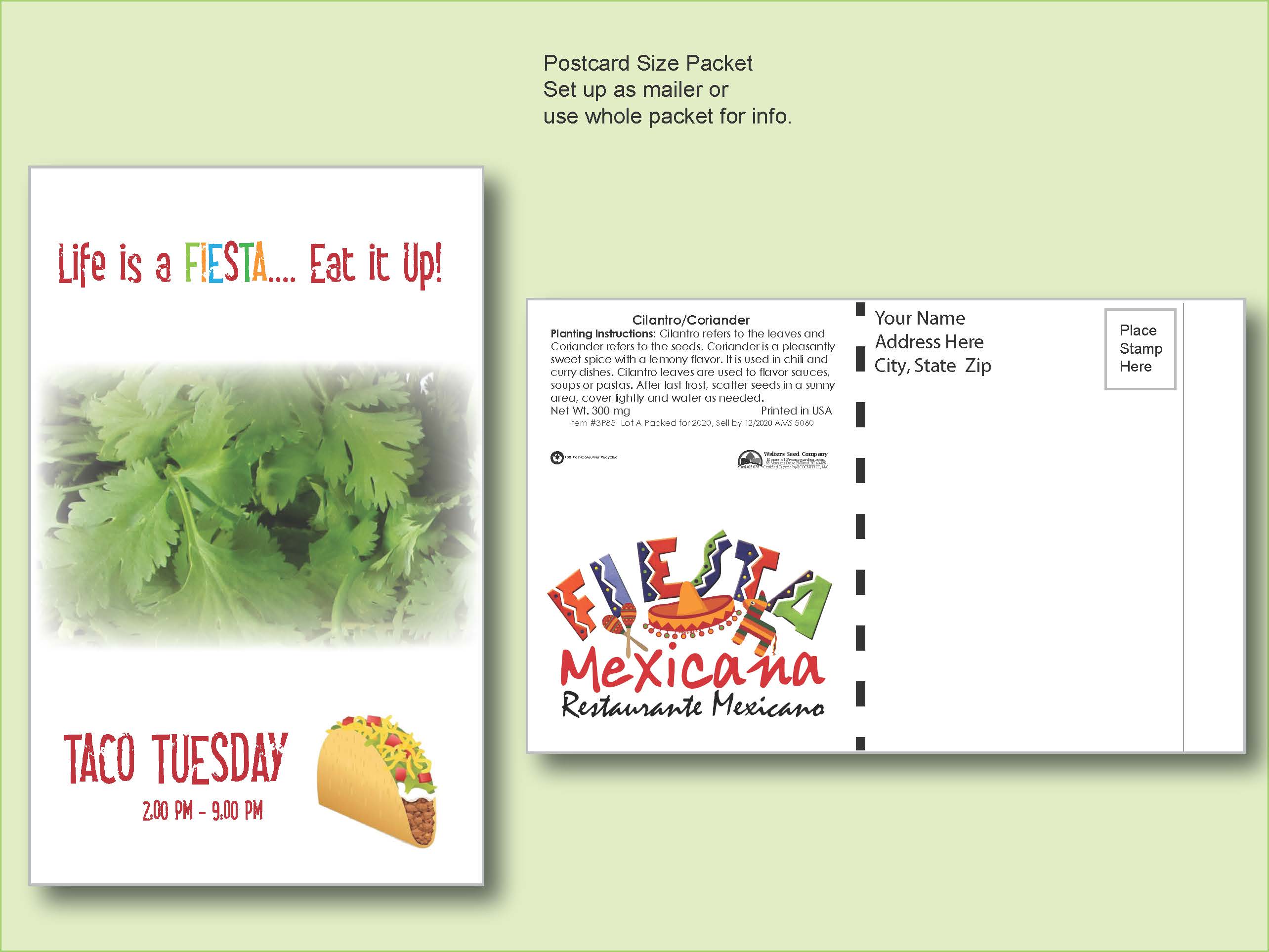 Cilantro/ Coriander Herb Seed Packet - Postcard Mailer Size 4" x 6.5" 2