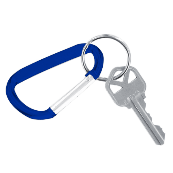Carabiner Keychain 3