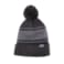 Unisex PARKTRAIL Roots73 Knit Toque 8