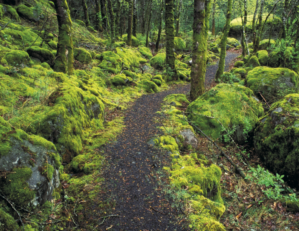 HotLine® Products Contemplations Appointment Calendar - Spiral 33