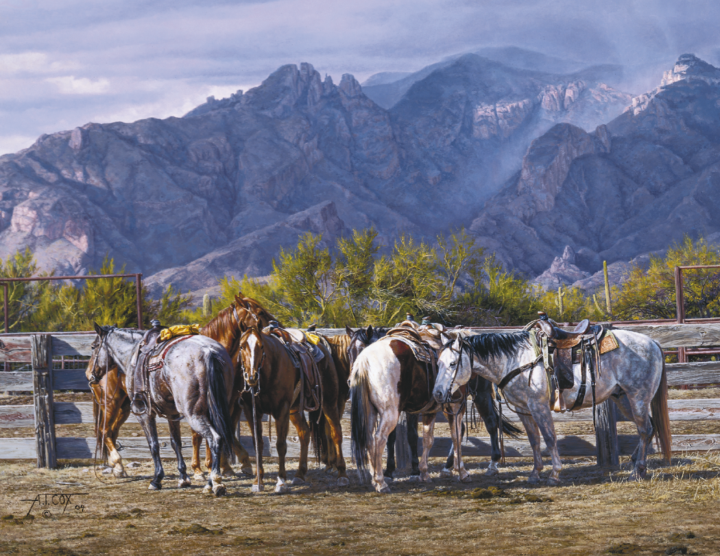 Triumph® Calendars American West by Tim Cox Calendar 38