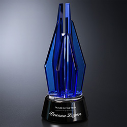 Vector Indigo Award 5