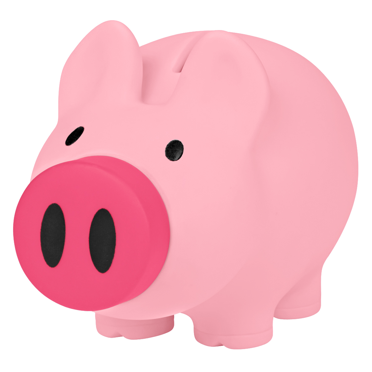 Payday Piggy Bank 14