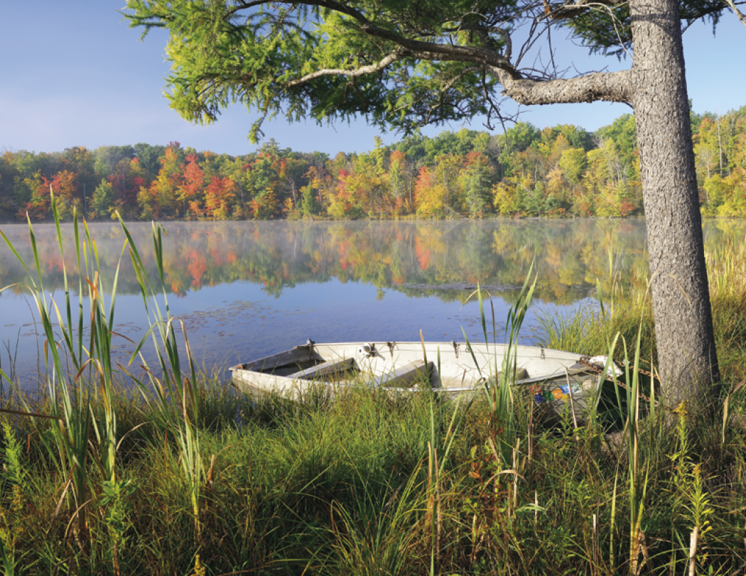 Triumph® Calendars Michigan Calendar 85