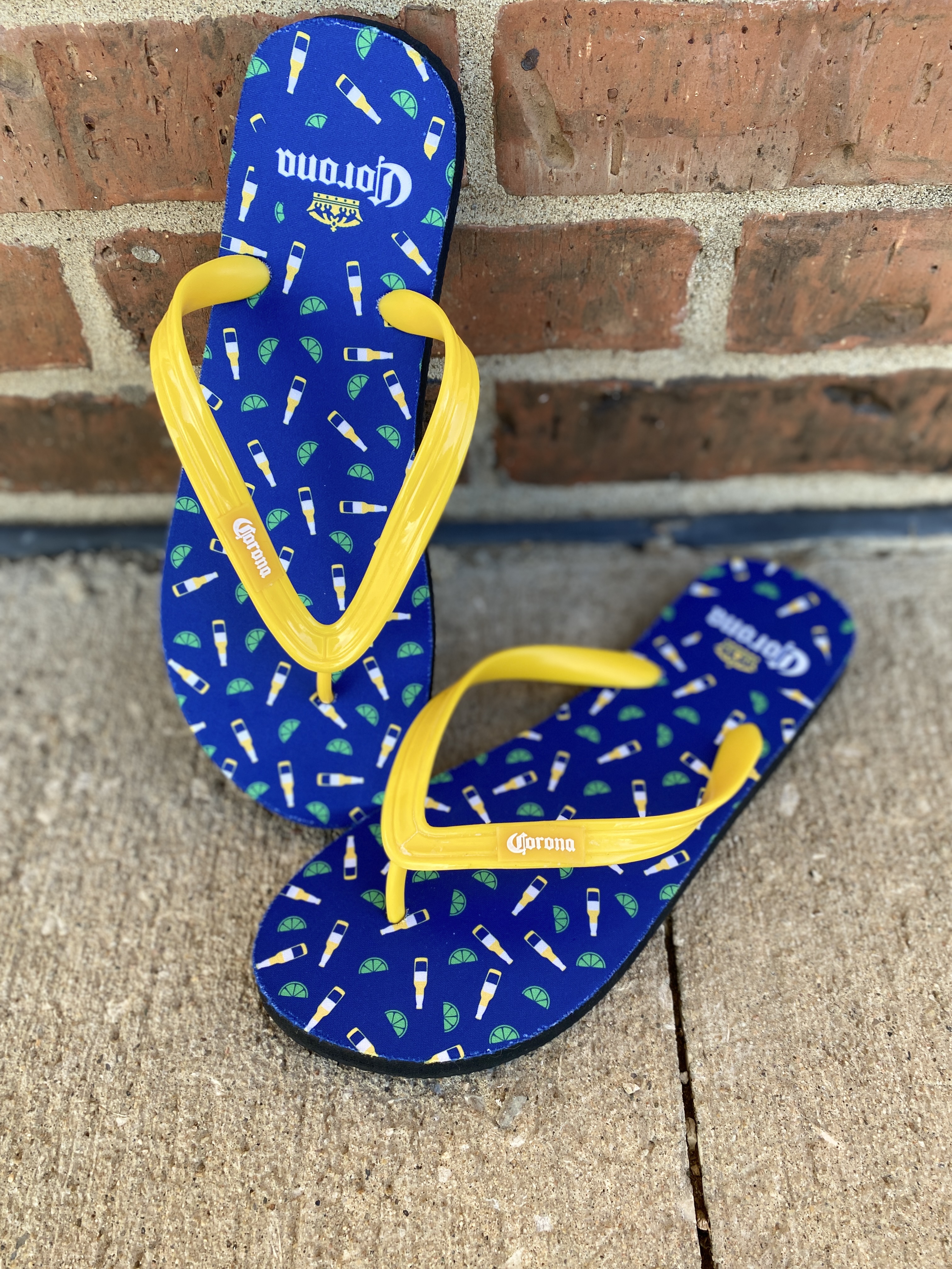 The Flip Flop 2