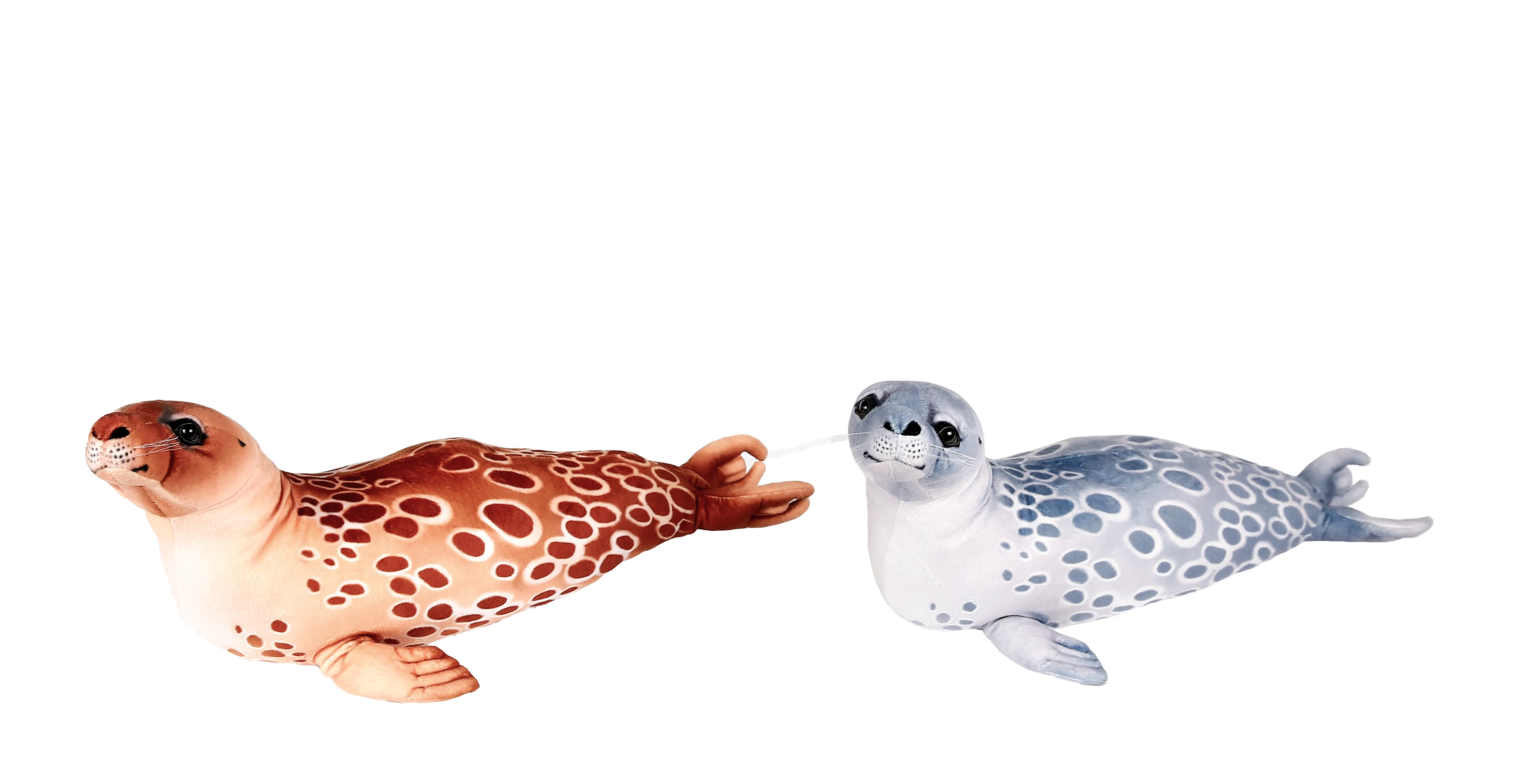 Brown and Grey Seals 2