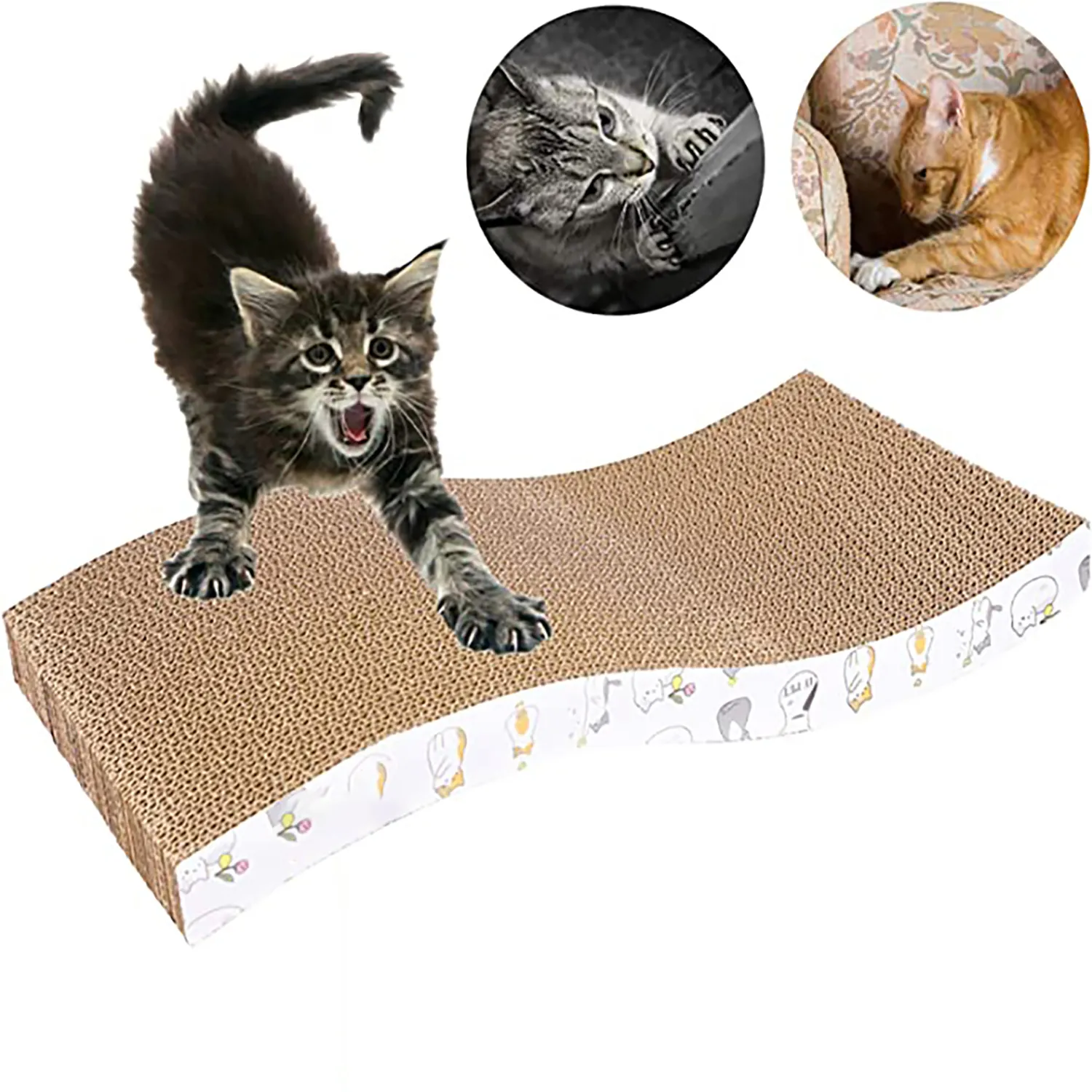 Cat Scratch Pad 7