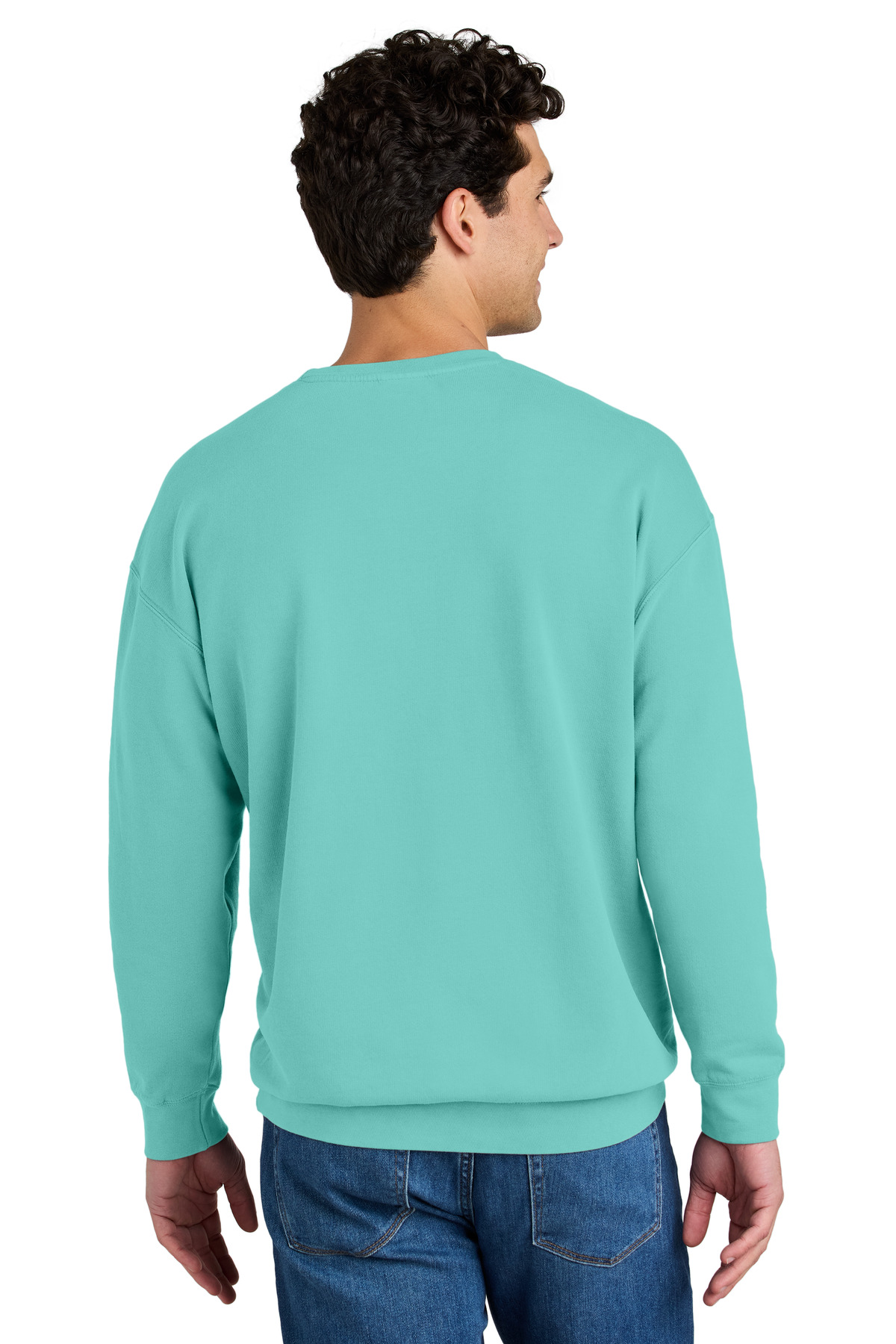Comfort Colors Lightweight Crewneck Sweatshirt 1466 22