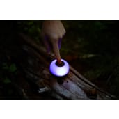 BioLite AlpenGlow Mini 150 57