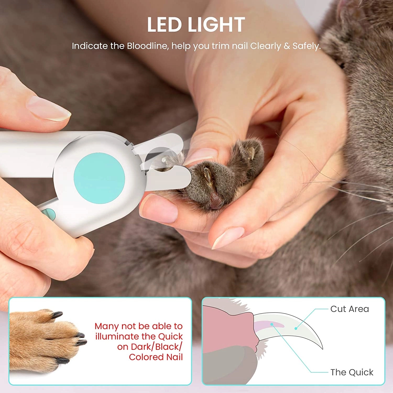 Pet Nail Scissor W/ LED Light 4