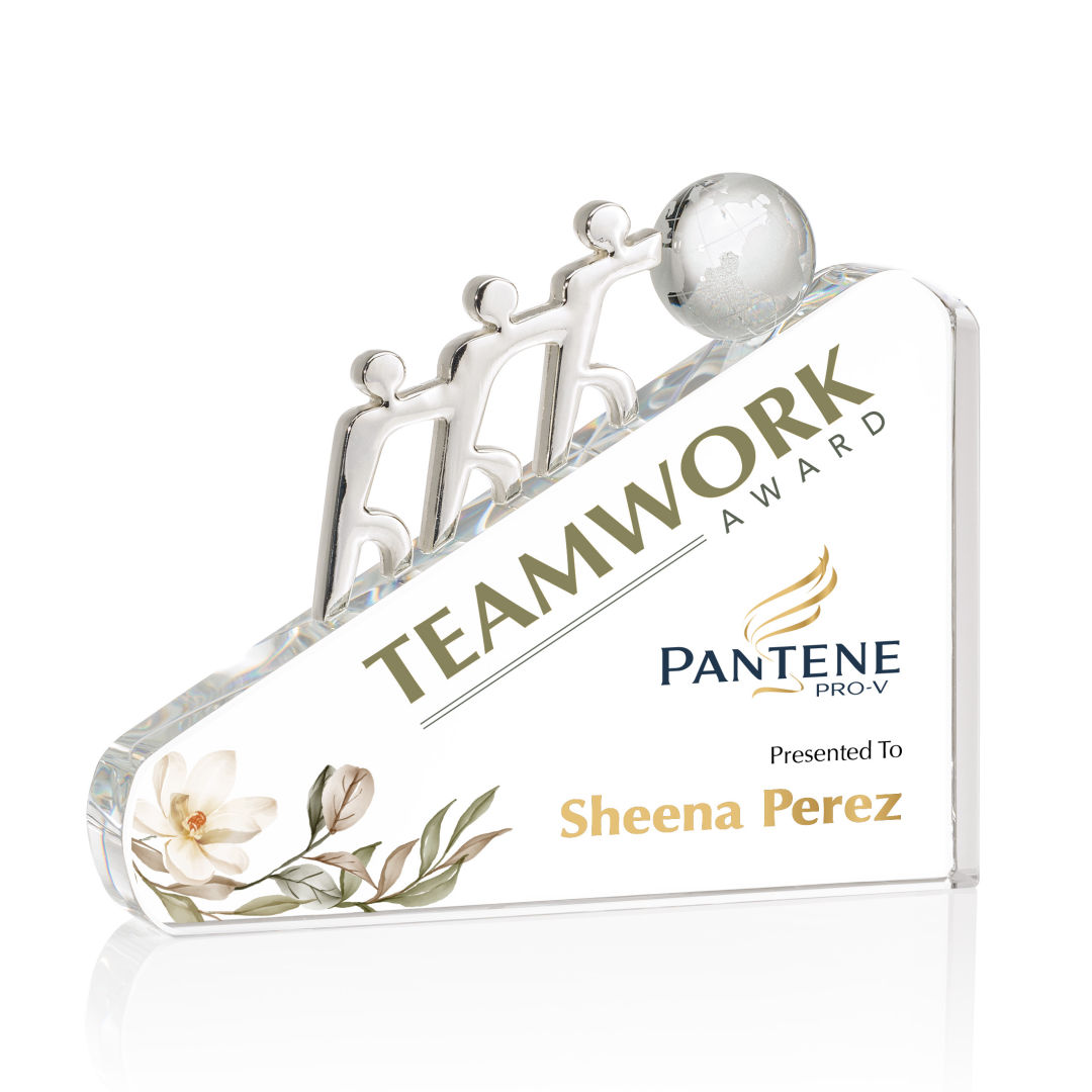 Synergy VividPrint™ Award 5