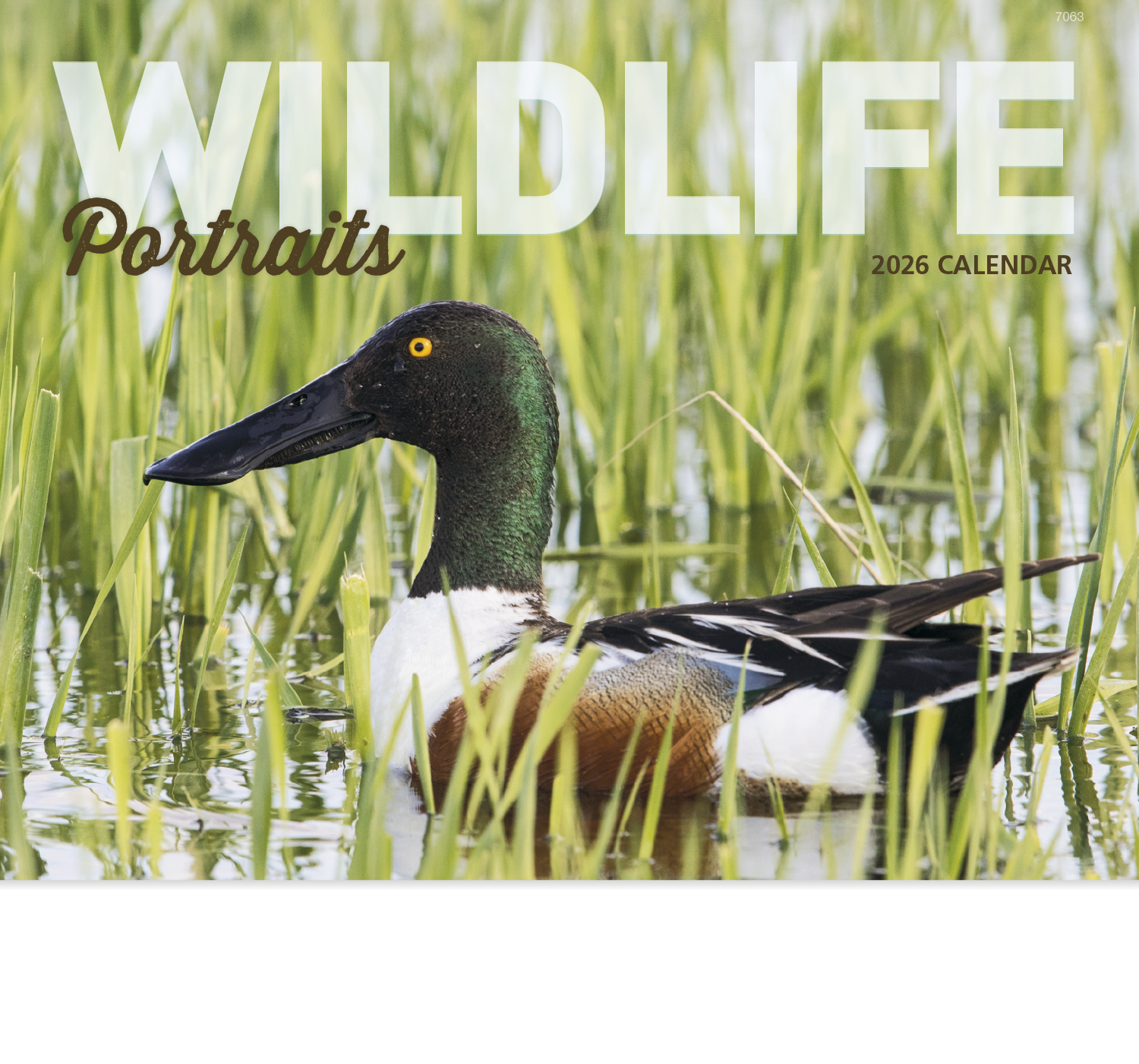Good Value™ Wildlife Portraits - Stapled Calendar 26