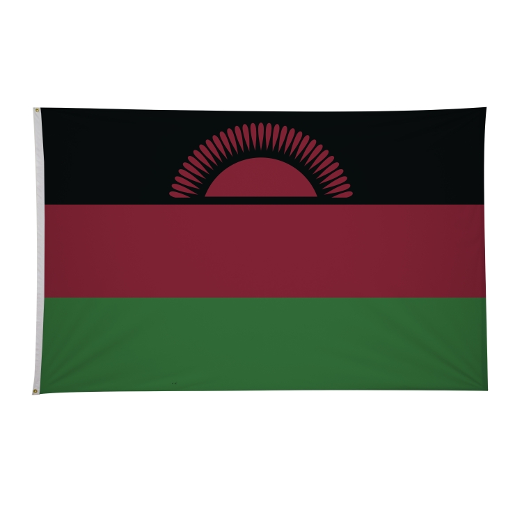 5' x 8' International Flags 194