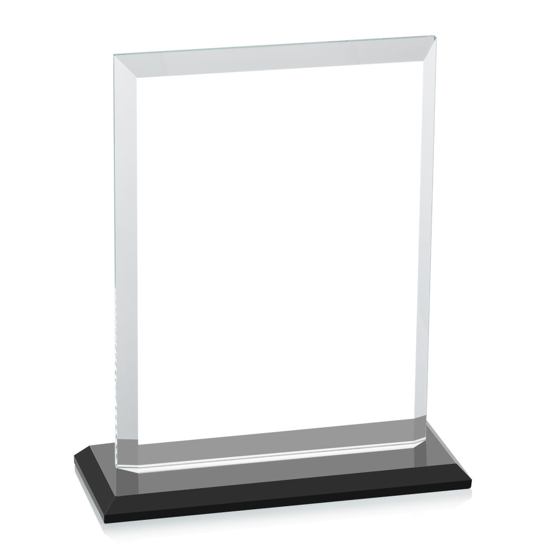 Denison VividPrint™ Award - Black 8