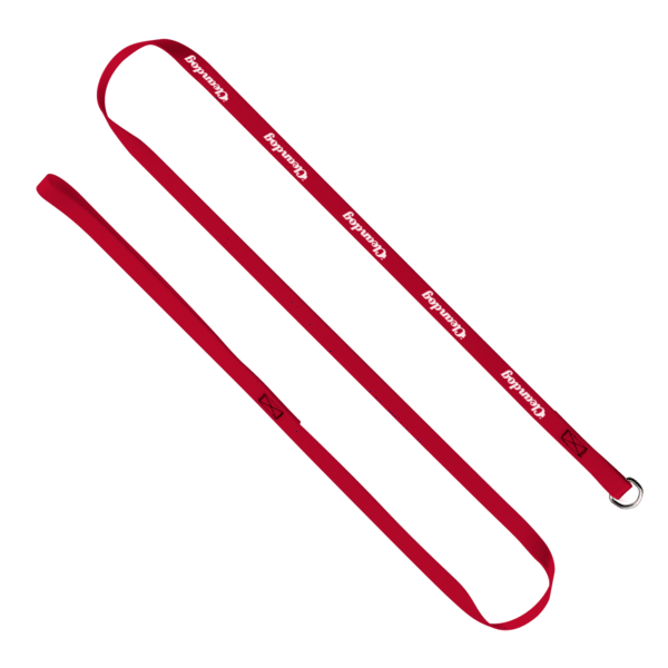 1/2" x 60" Smooth Nylon Pet Slip Leash