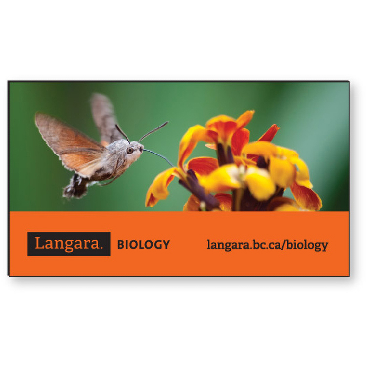 Stock Rectangle Shape .035 Memo Magnet (2"x3 1/2") High Resolution Full Colour Imprint