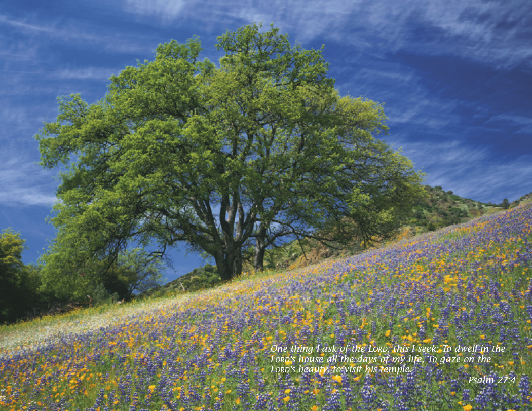 Triumph® Calendars Catholic Scenic Calendar 19
