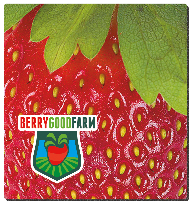 Good Value™ 1/16" Fabric Surface Mouse Pad (7-1/2" x 8") 6