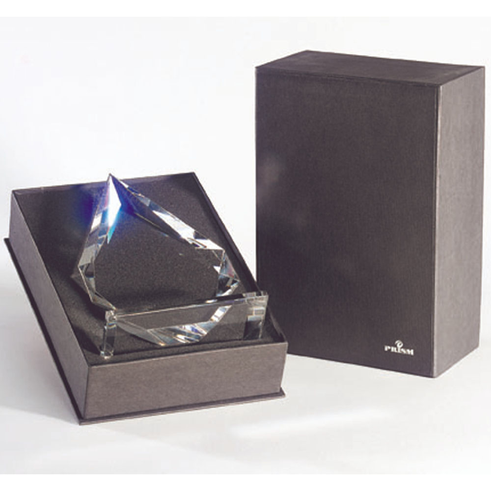 Master Obelisk Award(Medium) 3